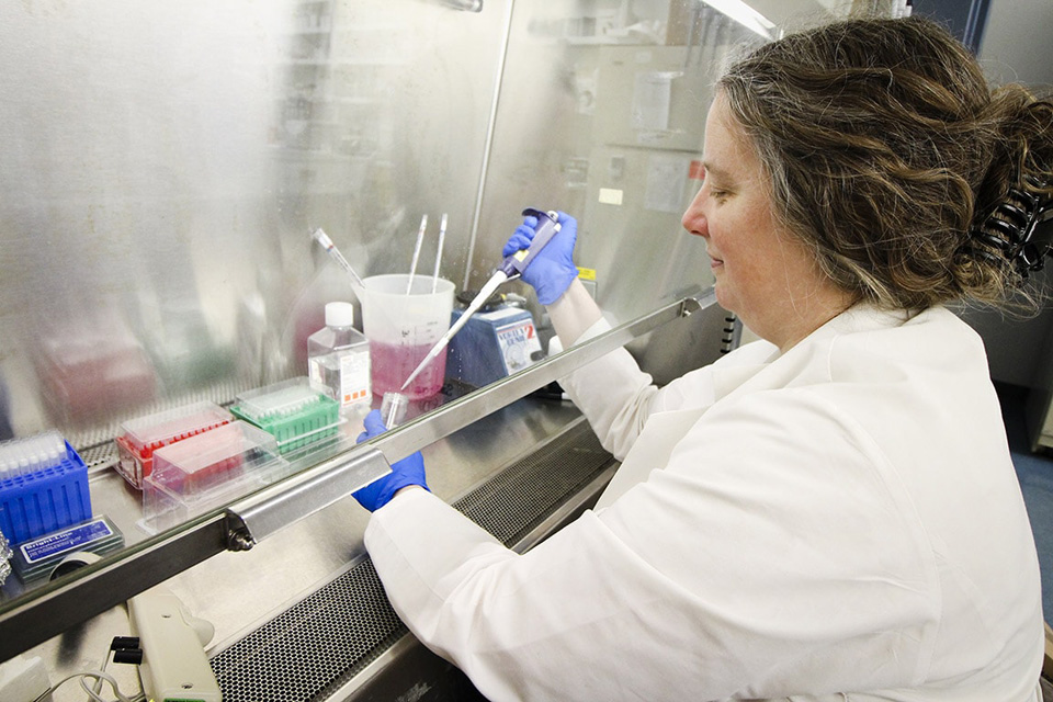 一名穿着实验室工作服、戴着手套的研究人员正在使用试管和小瓶。